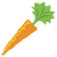 :carrot: